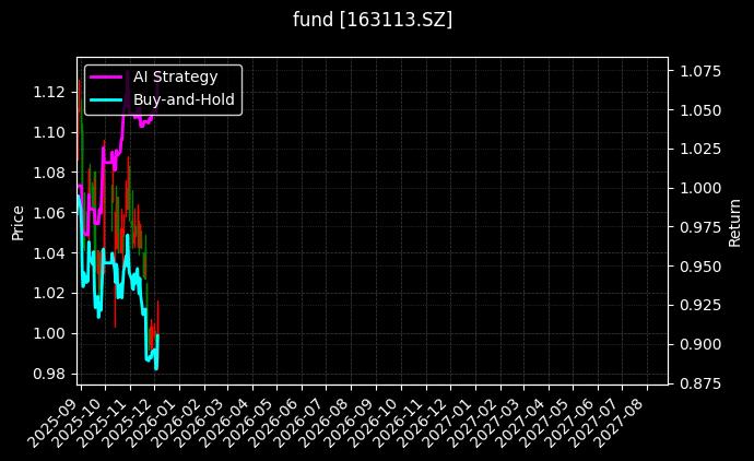 fund_163113.SZ_chart