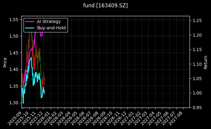 fund_163409.SZ_chart